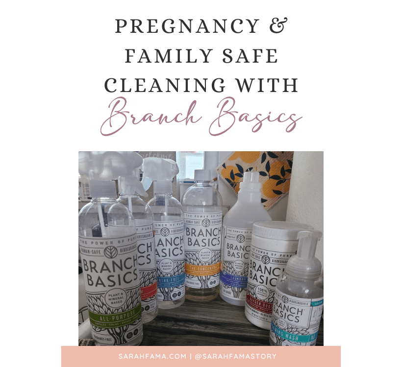 Branch Basics Review – Family and Pregnancy Safe Cleaning